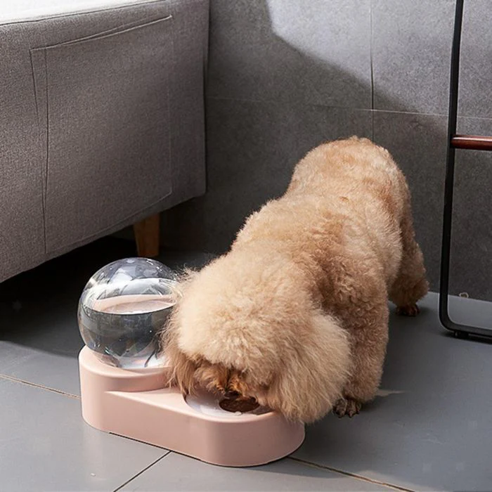 Distributore di Acqua e Cibo per Cani e Gatti. Versa l’Acqua e il Cibo Automaticamente - immagine 3