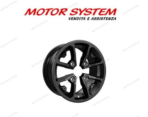 CERCHIO DA 14″ CAN AM - immagine 3