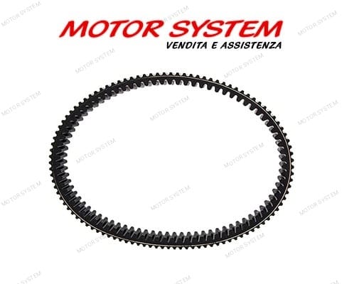 CINGHIA DI TRASMISSIONE CAN AM OUTLANDER E RENEGADE CILINDRATA 500 E SUPERIORE - immagine 3