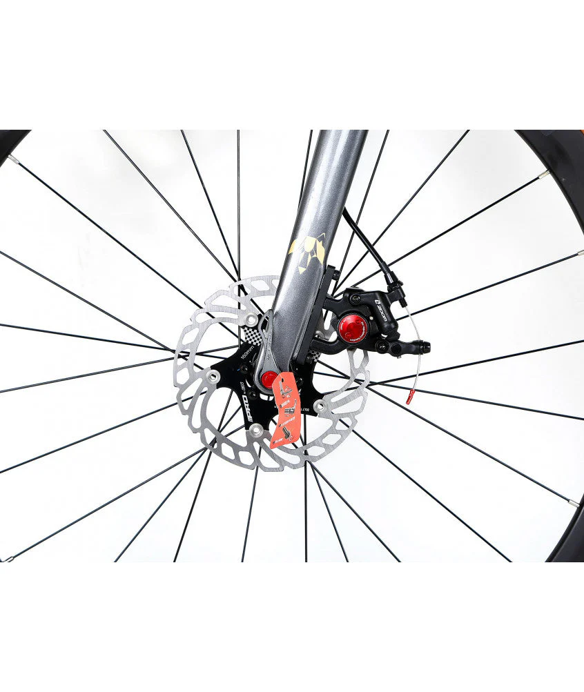 BICI GRAVEL CARBONIO LOBITO GV08, CAMBIO 1X12V - immagine 7